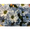 Chr Sant Bouncer Light Blue