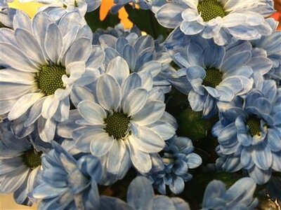 Chr Sant Bouncer Light Blue