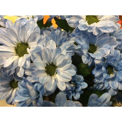 Chr Sant Bouncer Light Blue