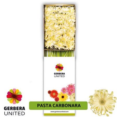 Ge Gr Box Pasta Carbonara