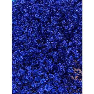 Gyps Million Star Dyed Blue