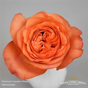 Rosa Garden Marmalade