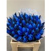 Tulp Dyed Blue Bay