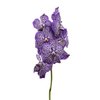 Vanda By Flower Royal Purple