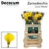 Zanted Gold Medal Decorum