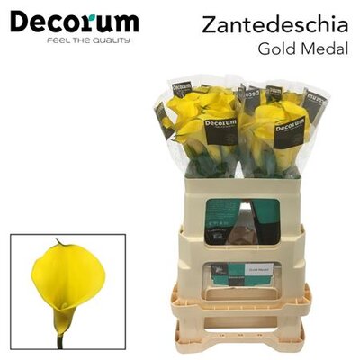 Zanted Gold Medal Decorum