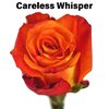 Роза одноголовая Careless Whisper 