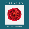 Роза Dark X-Pression (el Milagro)