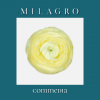 Ранункулюс Сommedia (el Milagro)