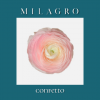 Ранункулюс Confetto (el Milagro)