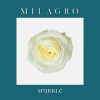 Роза Sparkle (el Milagro)