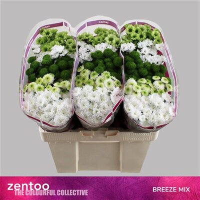 Chr San Mix Breeze In Bunch