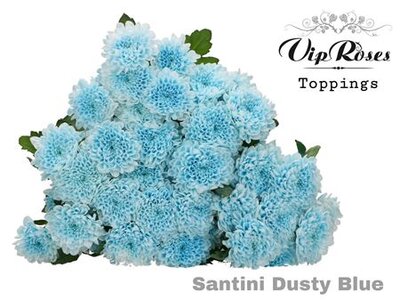 Chr Santini Dusty Blue Vip