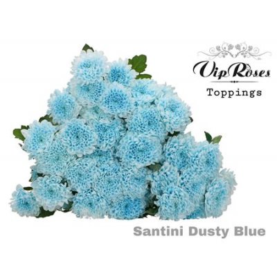 Chr Santini Dusty Blue Vip