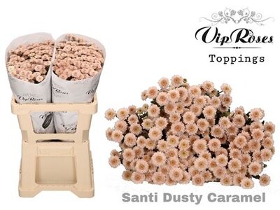 Chr Santini Dusty Caramel Vip