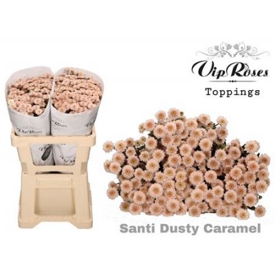 Chr Santini Dusty Caramel Vip