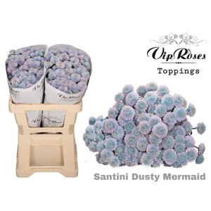 Chr Santini Dusty Mermaid Vip