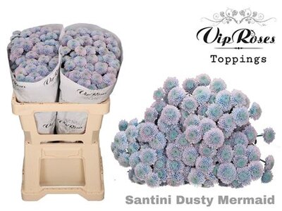 Chr Santini Dusty Mermaid Vip