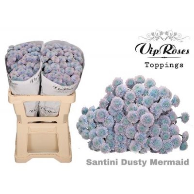 Chr Santini Dusty Mermaid Vip