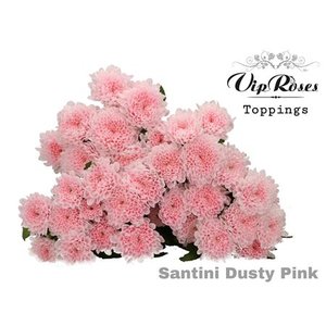 Chr Santini Dusty Pink Vip