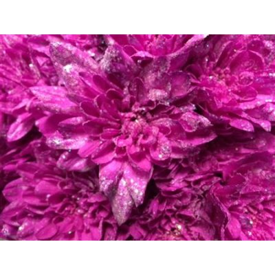 Chr Tr Baltica Dyed Cerise + Glit