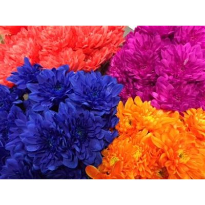 Chr Tr Zembla Dyed Mix