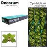 Cymb T Green Ali Anderson *6 Decorum