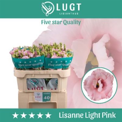 Eust G Lisanne Light Pink Lugt