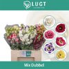 Eust G Mix 65cm Lugt