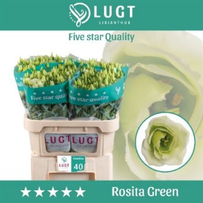 Eust G Rosita Green Ex