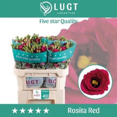 Eust G Rosita Red Ex