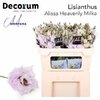 Eustoma Dyed Alissa Heavenly Milka