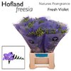 Fr En Finest Fresh Violet