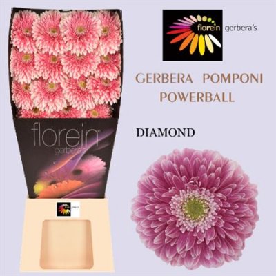 Ge Gr Diamond Pomponi Power Ball