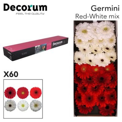 Ge Mi Box Mix Red - White Decorum