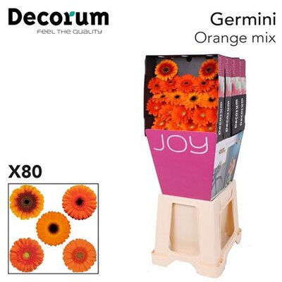Ge Mi Diamond Mix Orange Decorum