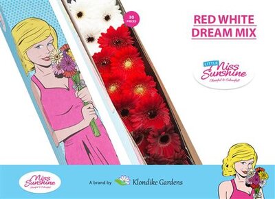 Ge Mi Small Box Mix Red White Dream