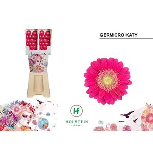 Ge Micro Diamond Piccolini Katy Holstein