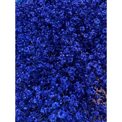 Gyps Million Star Dyed Blue