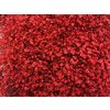 Gyps Million Star Dyed Red