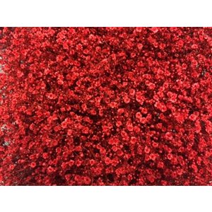 Gyps Million Star Dyed Red