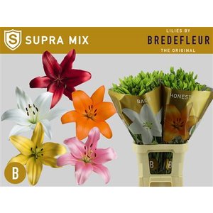 Li La Mix In Bucket 5 Colours Bredefleur Supra