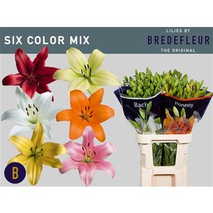 Li La Mix In Bucket 6 Colours Bredelfeur