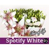 Li La Spotify White 4+