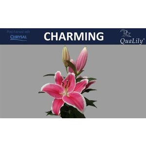 Li Or Charming 5+