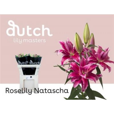 Li Or Du Rl Natascha 3+