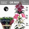 Li Or Mix In Bucket 4+