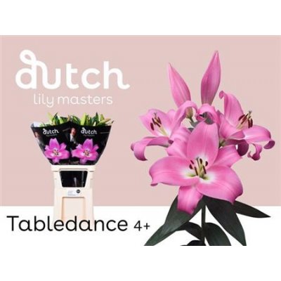 Li Ot Table Dance 4+