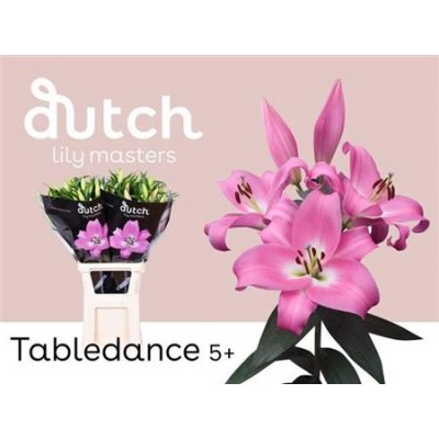 Li Ot Table Dance 5+