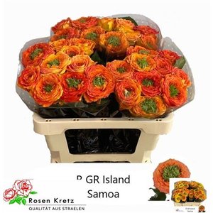 R Garden Island Samoa